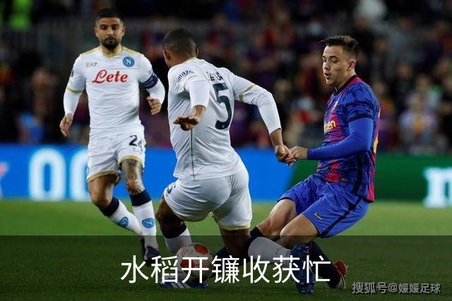 水稻开镰收获忙